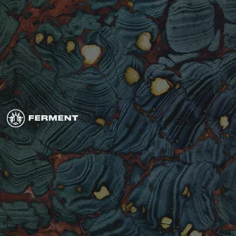 Ferment by Levi The Poet