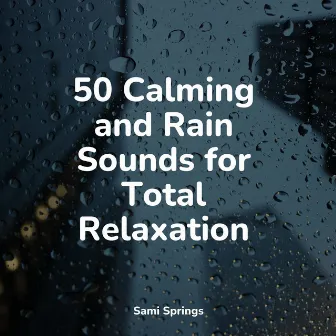 50 Calming and Rain Sounds for Total Relaxation by Lluvia PQ