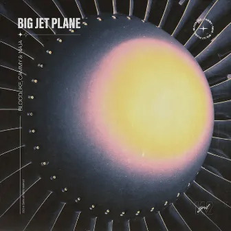 Big Jet Plane by Cammy