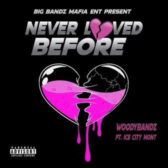 Never Loved Before by WoodyBandz