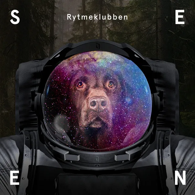 Seen - Radio Edit