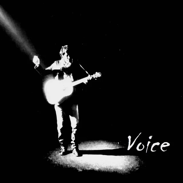 Voice