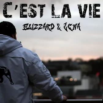 Cest la vie by Blizzard