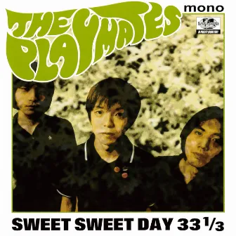 SWEET SWEET DAY 33 1/3 by THE PLAYMATES