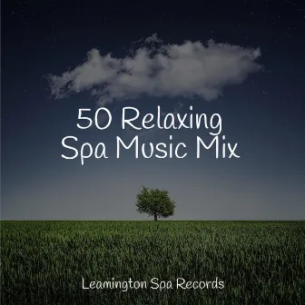 50 Relaxing Spa Music Mix by The Rain Library