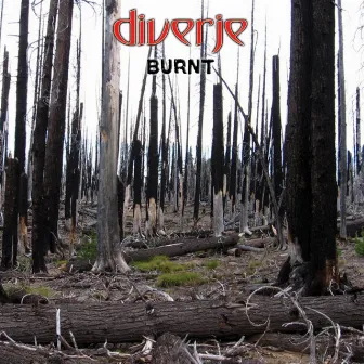 BURNT by Diverje