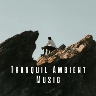 Tranquil Ambient Music by Art of Calming