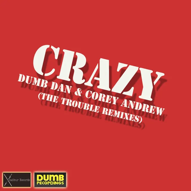 Crazy-the Trouble Remixes