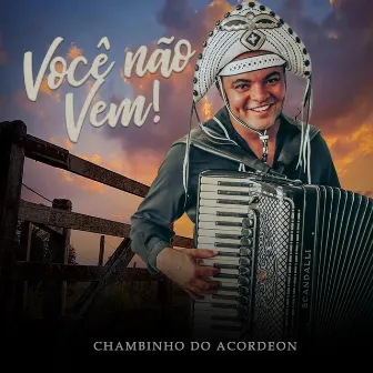 Você Não Vem! (Ao Vivo) by Chambinho do Acordeon