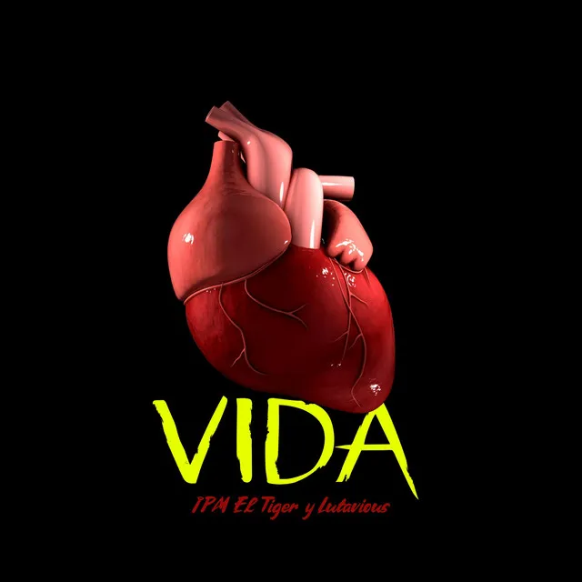 Vida