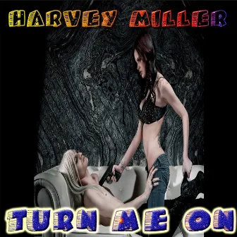 Turn Me On by Harvey Miller