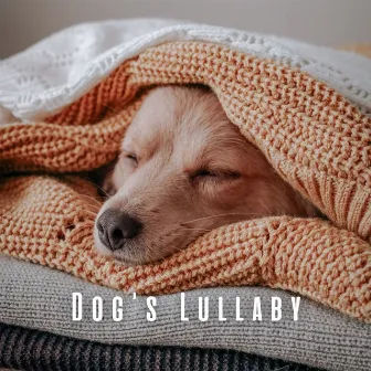 Dog's Lullaby: Lofi and Ambient Sounds for Pups by LoFi HipHop Guru