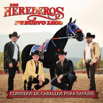 Corridos de Caballos Pura Sangre by Los Herederos De Nuevo León