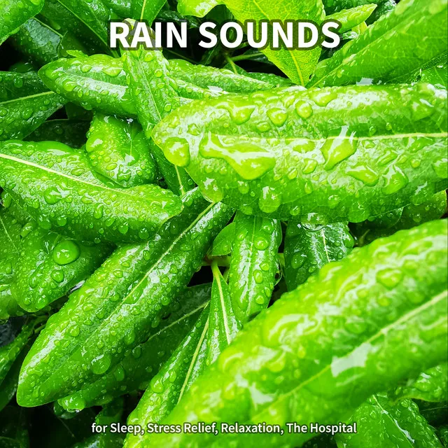 Rain Sounds