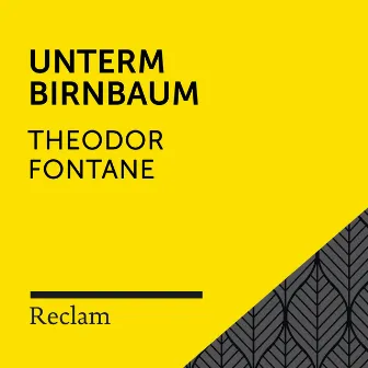 Fontane: Unterm Birnbaum (Reclam Hörbuch) by Reclam Hörbücher