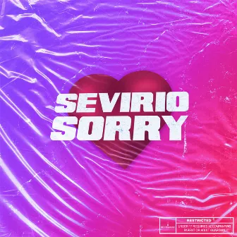 Sorry by Sevirio