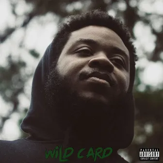 Wild Card by Mike Ransom