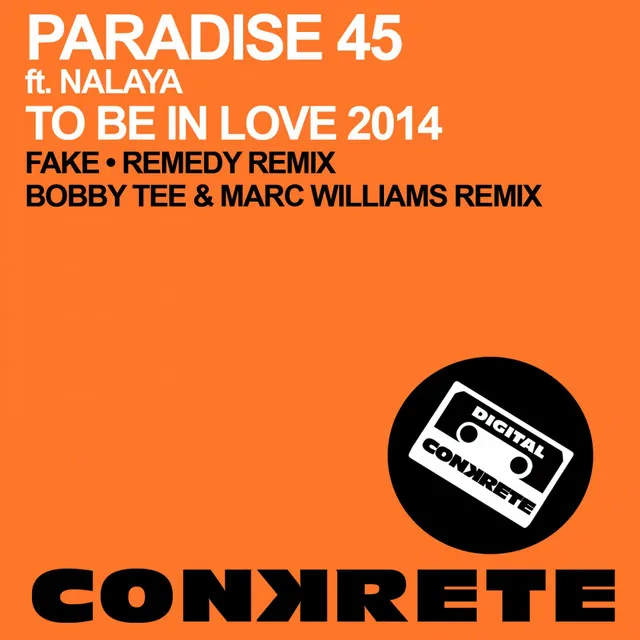 To Be In Love 2014 - Fake  Remedy Remix