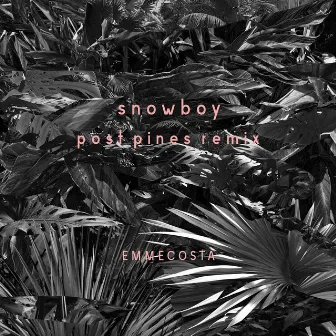 Snowboy (Post Pines Remix) by Post Pines