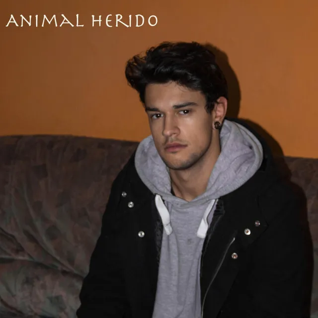 Animal Herido