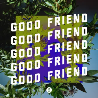 Good Friend by Switch