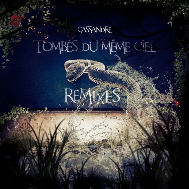 Tombés du même ciel (Hansel Remix)