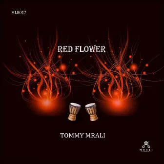 Red Flower by Tommy MRali