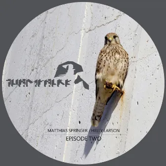 Turmfalke Episode Two by Matthias Springer