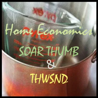 Home Economics by Soar Thumb