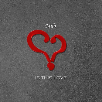 Is This Love by Milo V