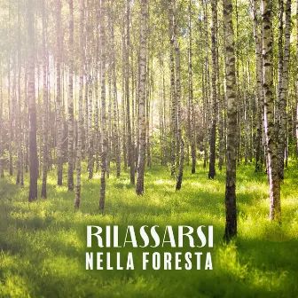 Rilassarsi Nella Foresta: Suoni Calmanti Della Natura e Degli Uccelli by Zona pura di suoni naturali