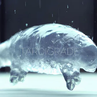 Tardigrade by Sigjir