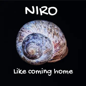 Like Coming Home by Niro