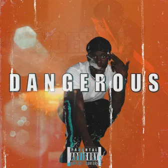 Dangerous by Lul Turk