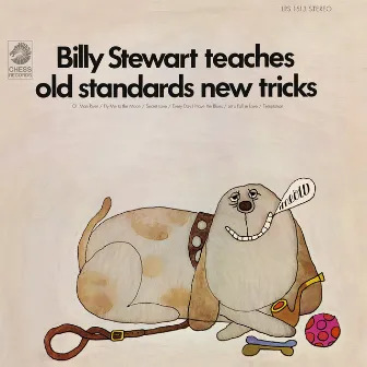 Billy Stewart Teaches Old Standards New Tricks by Billy Stewart