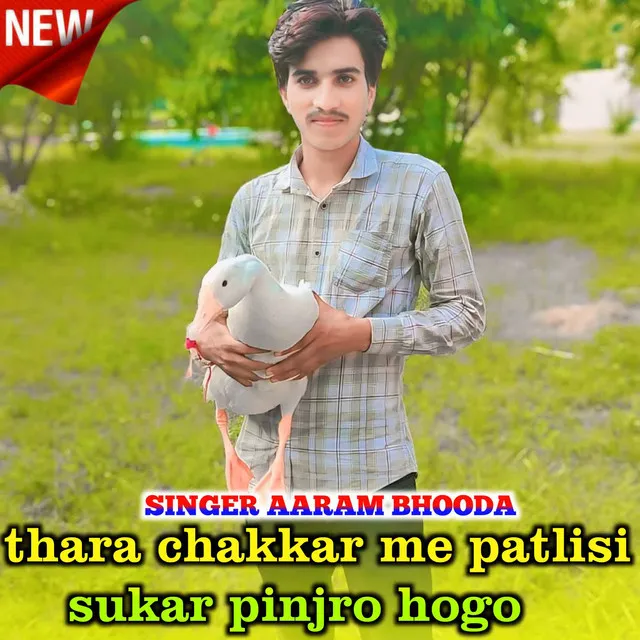 thara chakkar me patlisi sukar pinjro hogo