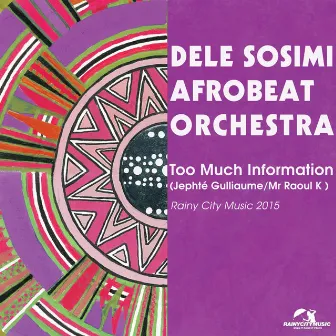 Too Much Information (Remixes) by Dele Sosimi Afrobeat Orchestra