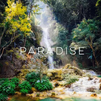 Paradise by K Gold