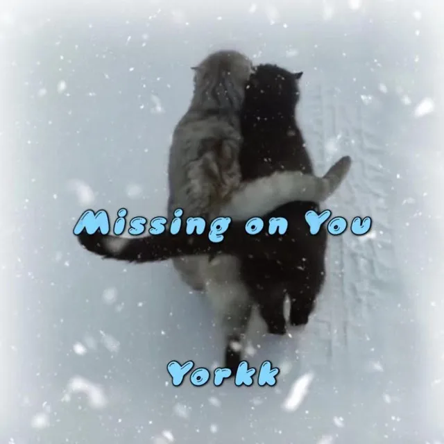 Missing on You