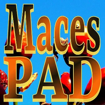 Maces (Paduraru Fitness Mix) by Paduraru