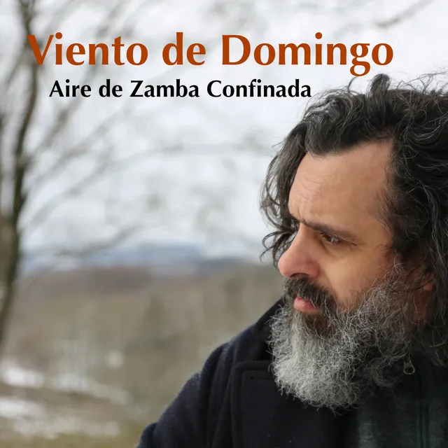 Viento de Domingo: Aire de Zamba Confinada