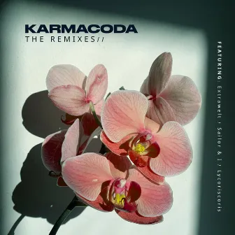 Remixes EP by Karmacoda