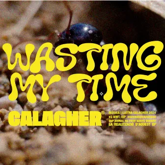 Wasting my time by Calagher