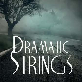 Dramatic Strings by Tim Clarke