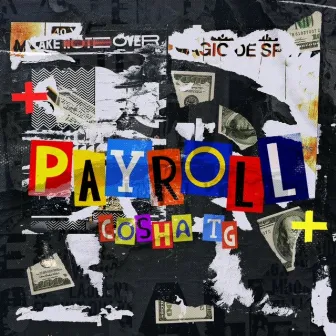 Payroll by Cosha TG