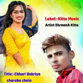 Chhori Bakriya Charaba Chala by Dhrmash Kittu