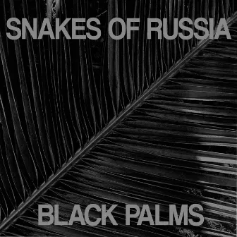 Black Palms by Snakes of Russia