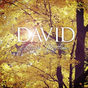 I Never Left Home by David