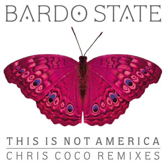 This Is Not America (Chris Coco Remix)