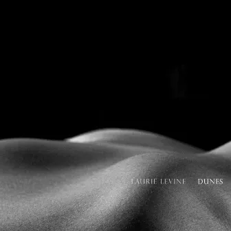 Dunes by Laurie Levine